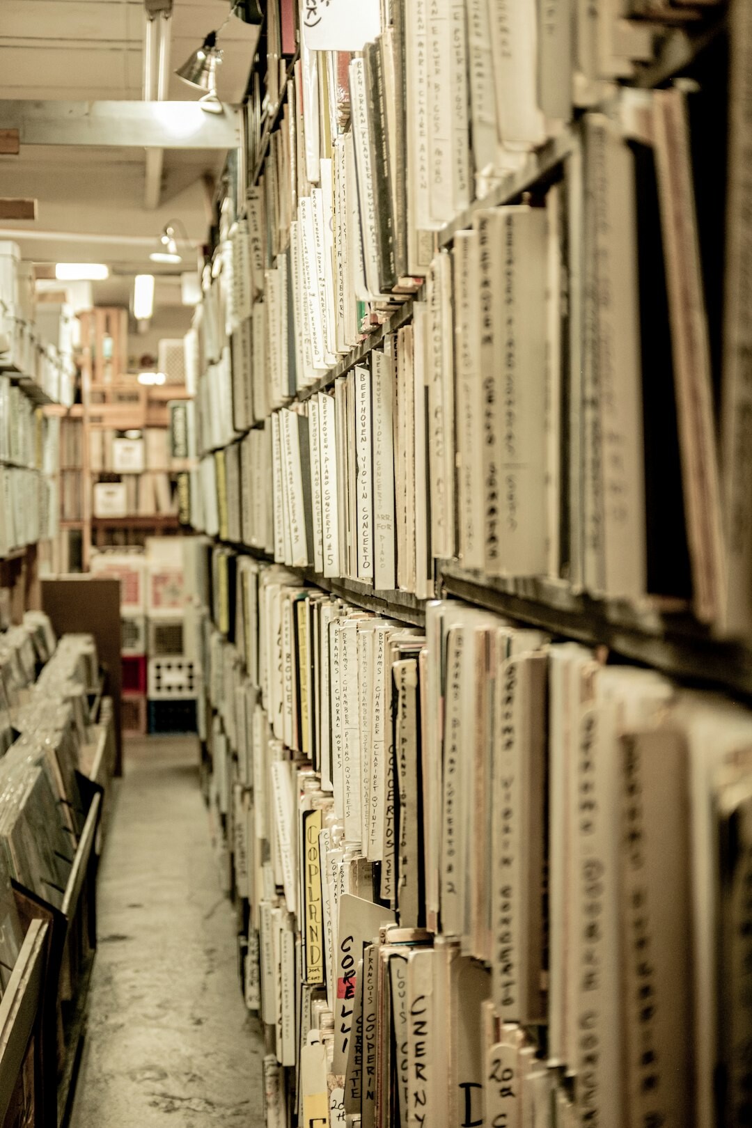 Archive shelves filled with binders and old newspapers