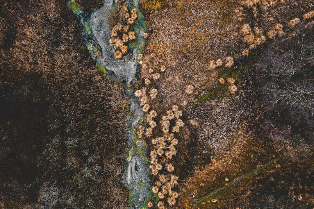 deforestation aerial view